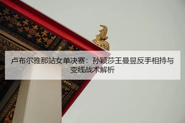 卢布尔雅那站女单决赛：孙颖莎王曼昱反手相持与变线战术解析