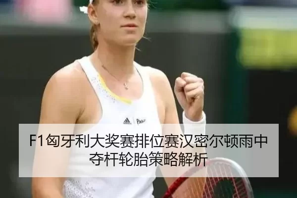 xiong-ya-li-da-jiang-sai-pai-wei-sai-han-mi-er-dun-yu-zhong-duo-gan-lun-tai-ce-lve-jie-xi-3-788.jpg